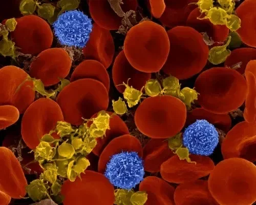 Femixal : zloženie iba prírodné zložky.
